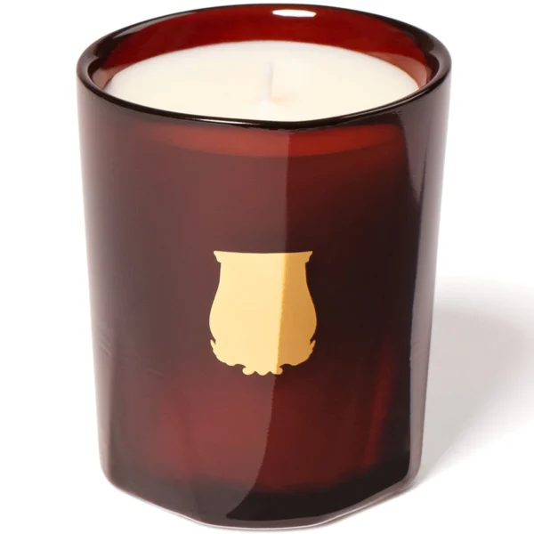 Trudon Cire Petit candle